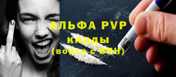 a pvp Бородино