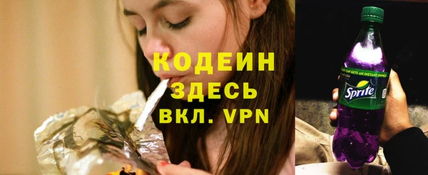 a pvp Бородино