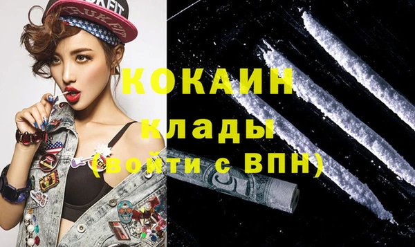 сатива Дубна