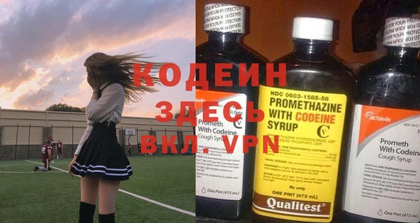 a pvp Бородино