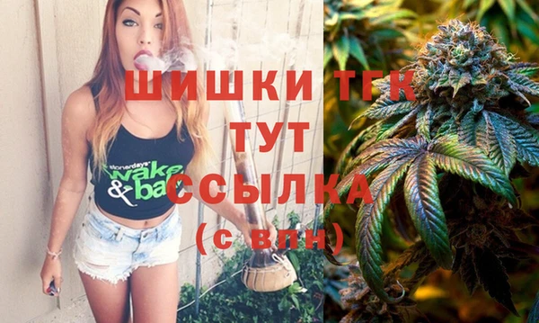a pvp Бородино