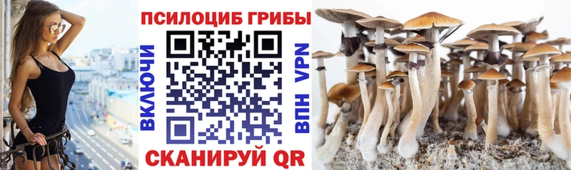 Галлюциногенные грибы мицелий  Кстово 